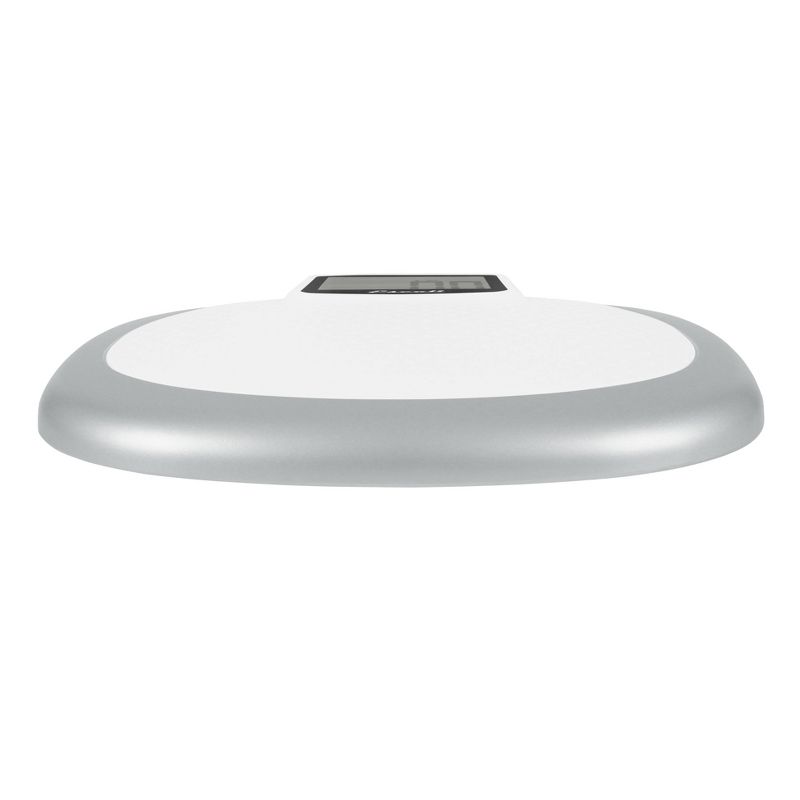 XL Display Bathroom Scale White/Silver - Escali