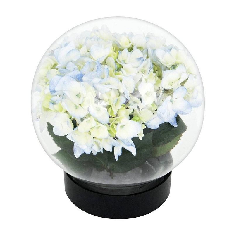 6.4" Glass Globe Vase Clear - ACHLA Designs