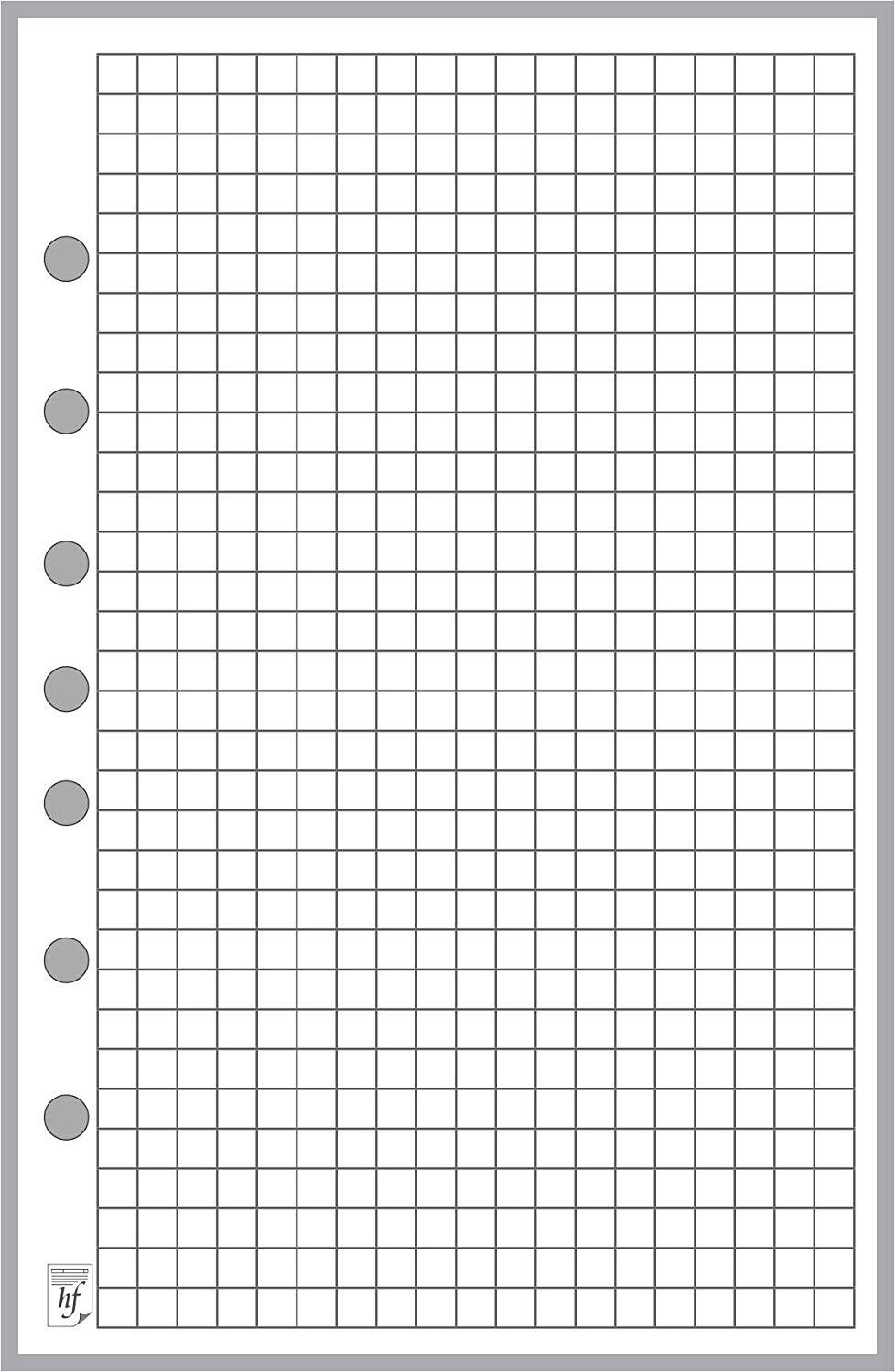 Classic Size Graph Paper Refill, Sized and Punched with 7 Holes for Franklin Covey Classic Notebook (5.5" x 8.5")