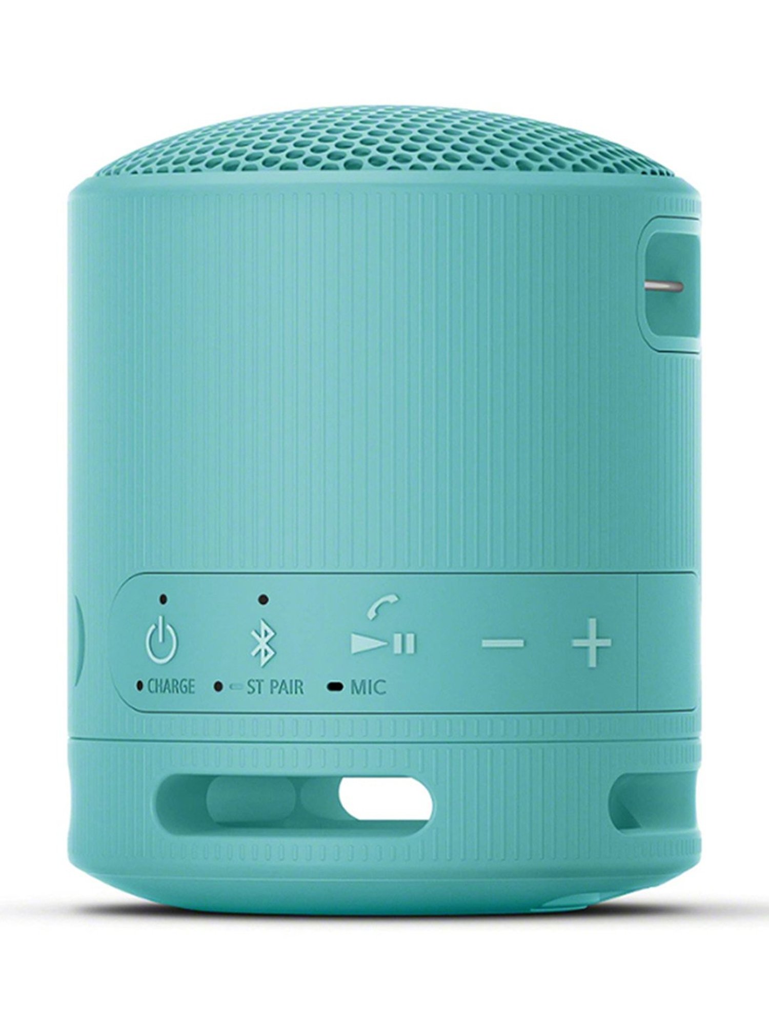 Sony SRS-XB100 Wireless Bluetooth Portable Travel Speaker with IP67 Waterproof & Dustproof (Blue)