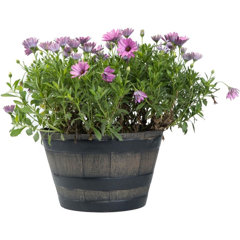 OFF! 16oz Backyard Pretreat Outdoor Fogger