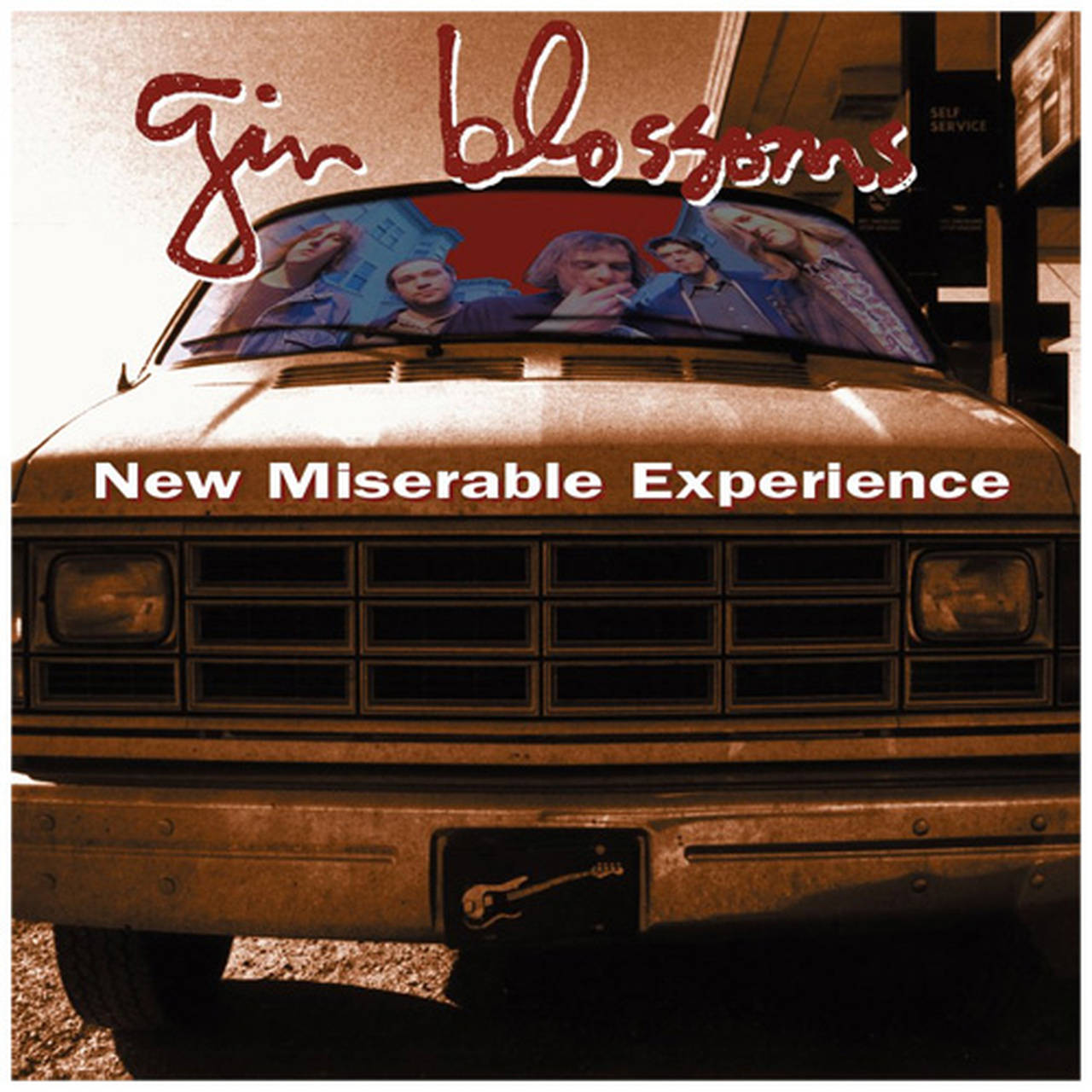 Gin Blossoms New Miserable Experience LP (Vinyl)