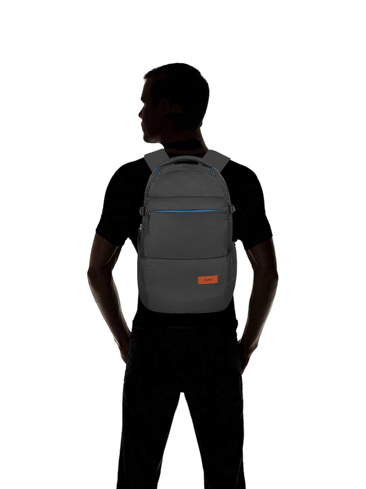 Skybags 25 Lrts Grey Medium Laptop Backpack