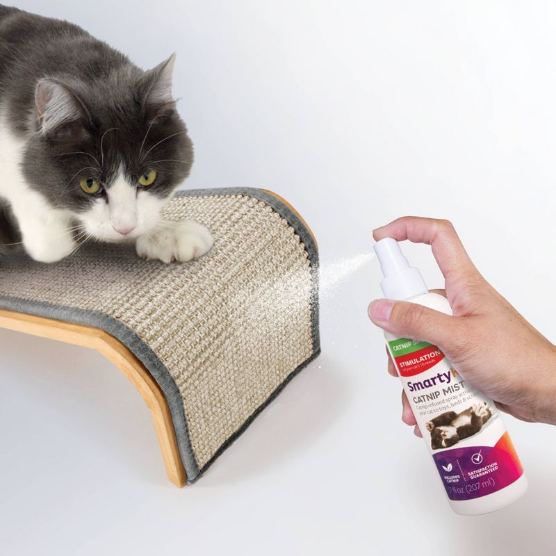 SmartyKat Catnip Mist Cat Attractant Spray Cat Treats - 7oz