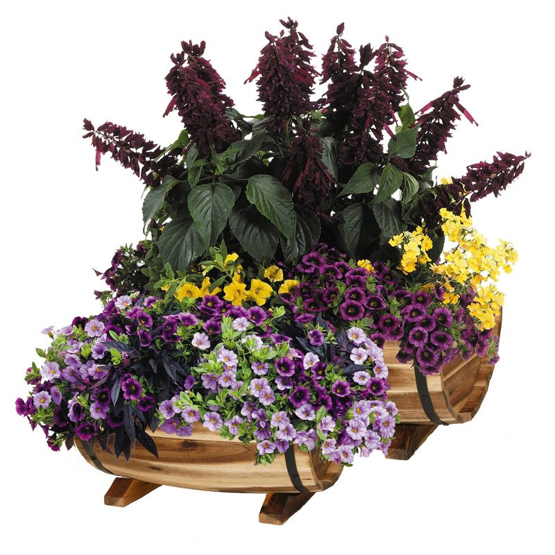 Set of 2 Acacia Half Barrel Planters - Classic Home and Garden