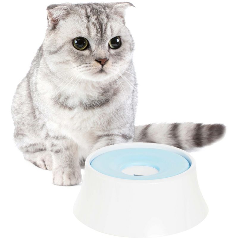 PawsMark Anti-Splash Dripless Drinking Water Slow Feeder Dispenser Car Bowl for Pets