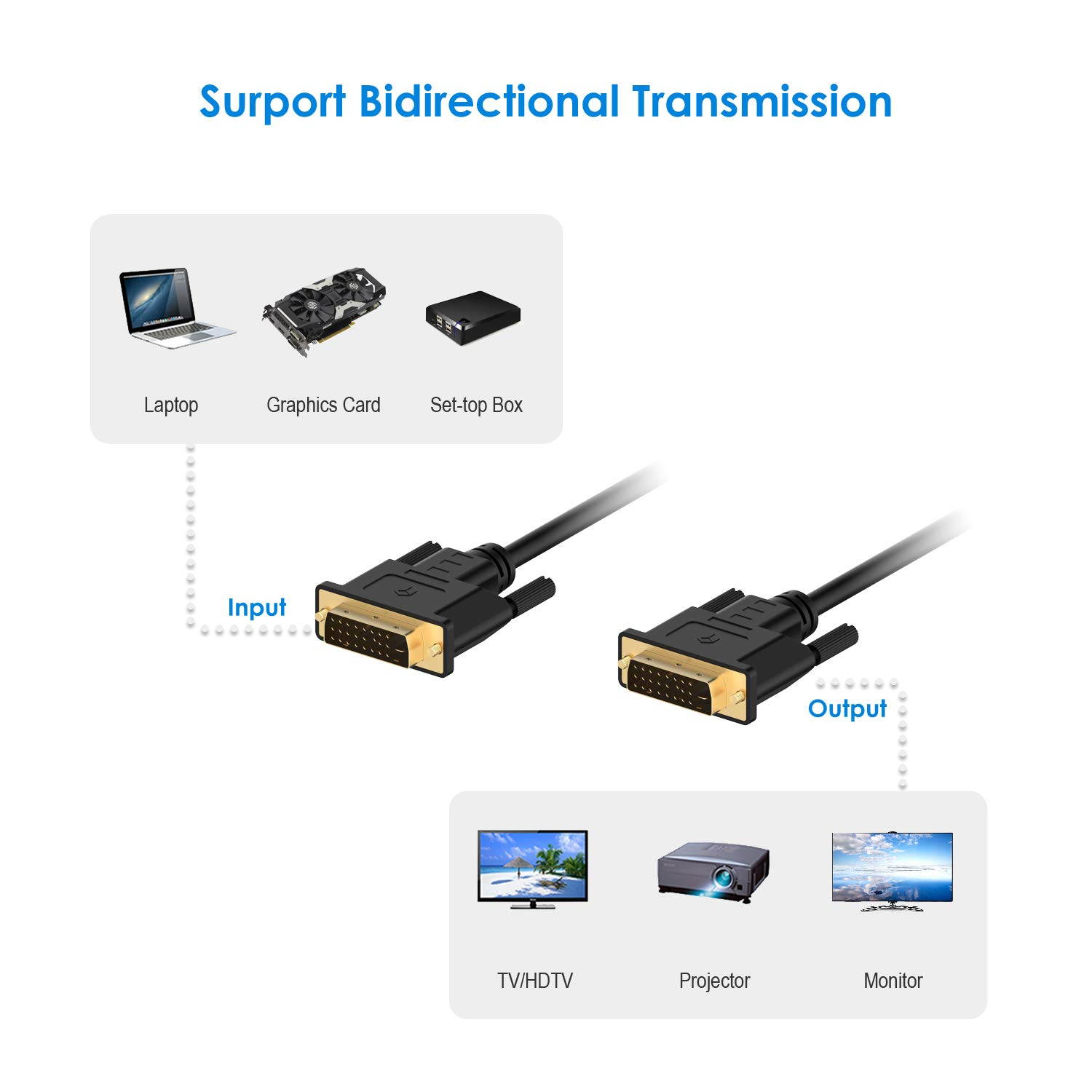 Rankie DVI to DVI Cable, 6 Feet