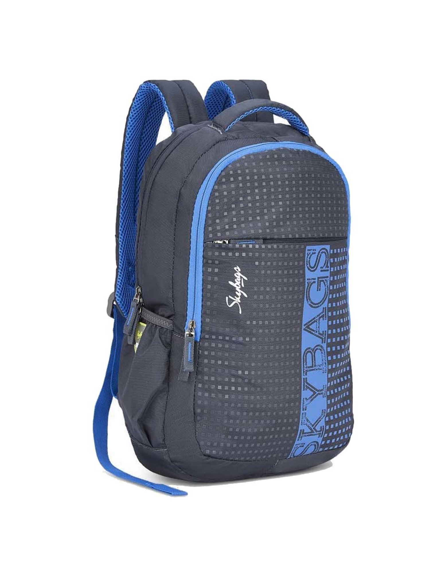 Skybags 27 Ltrs Grey Medium Backpack