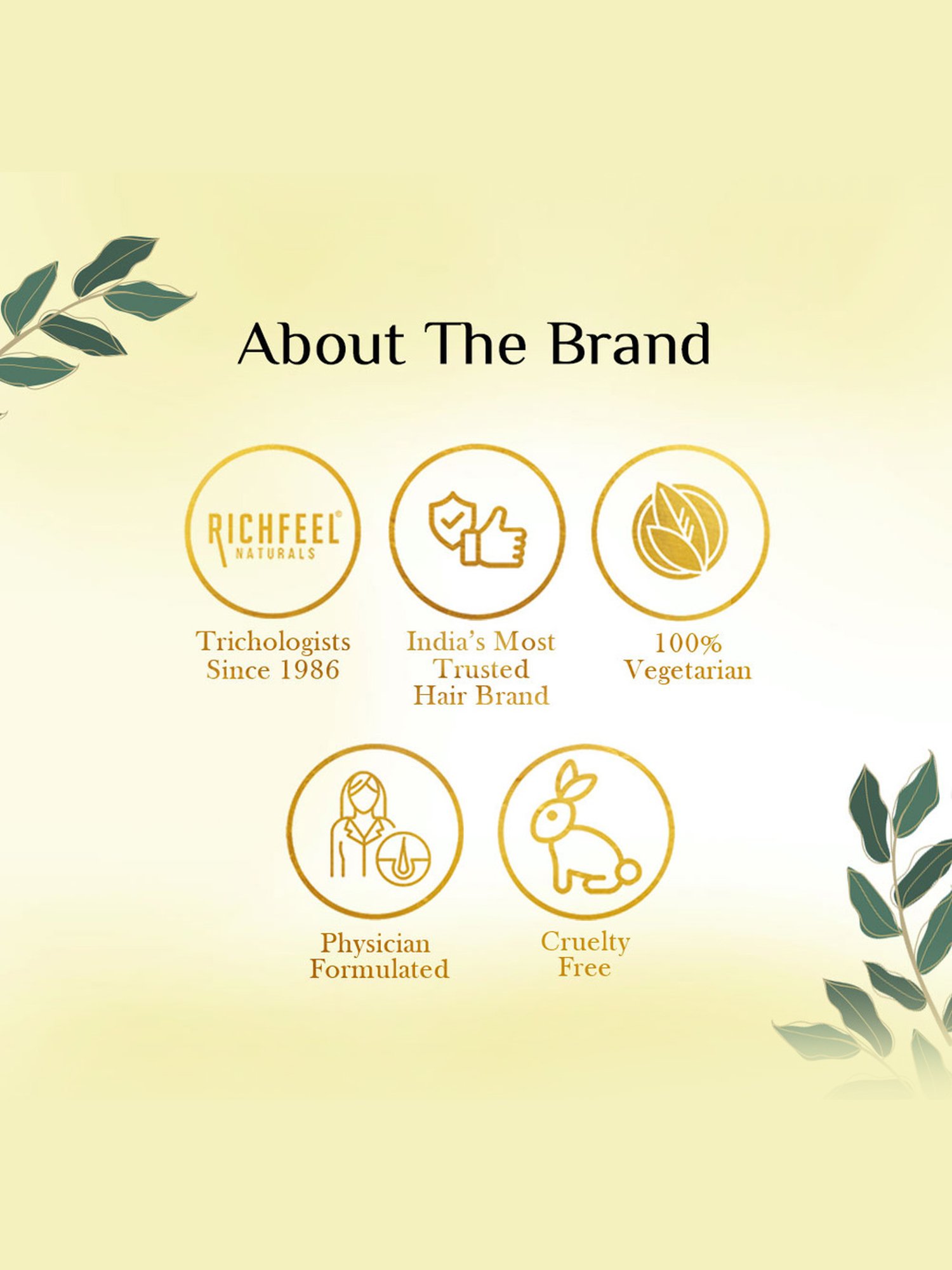 Richfeel Shampoo with Arnica - Pack of 4