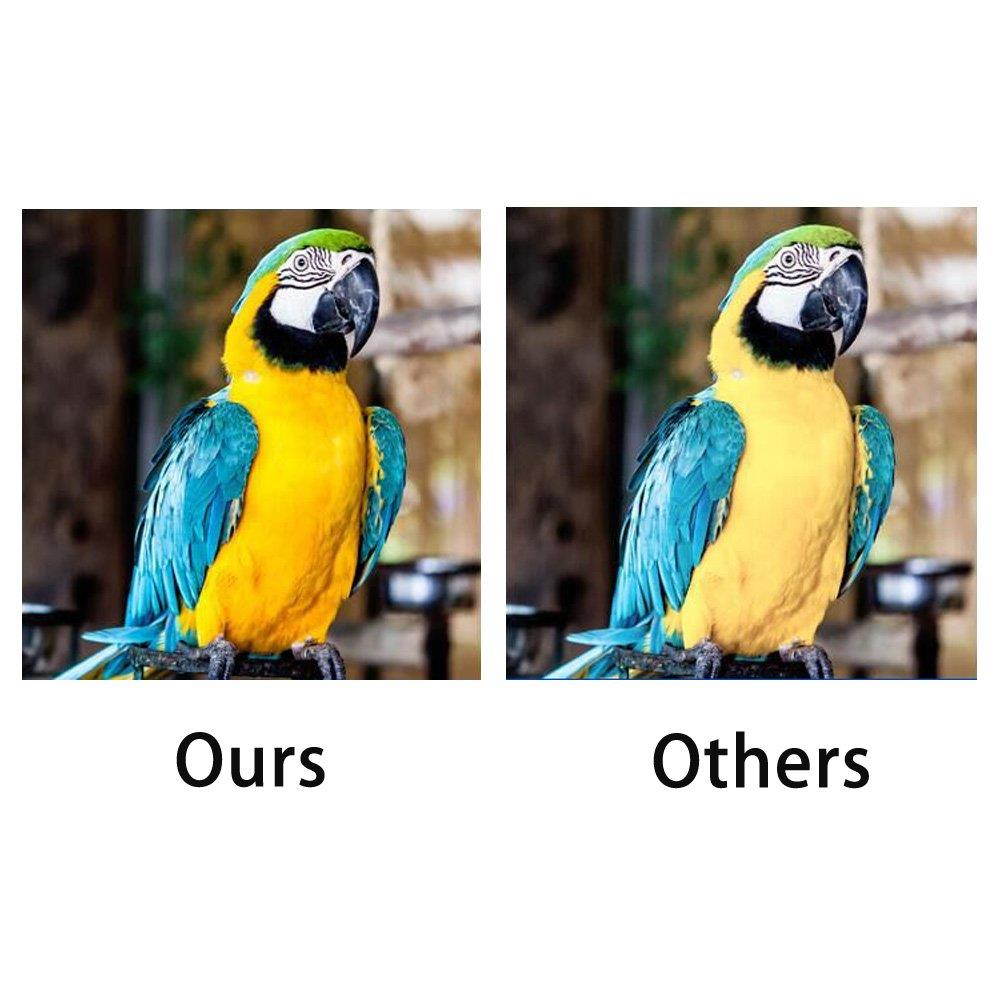 YATUNINK 2 Combo Pack Ink Cartridges Black&Color for Lexmark 14(18C2090) and Lexmark 15(18C2110) Fit Lexmark X2600 X2650 X2670 Z2300