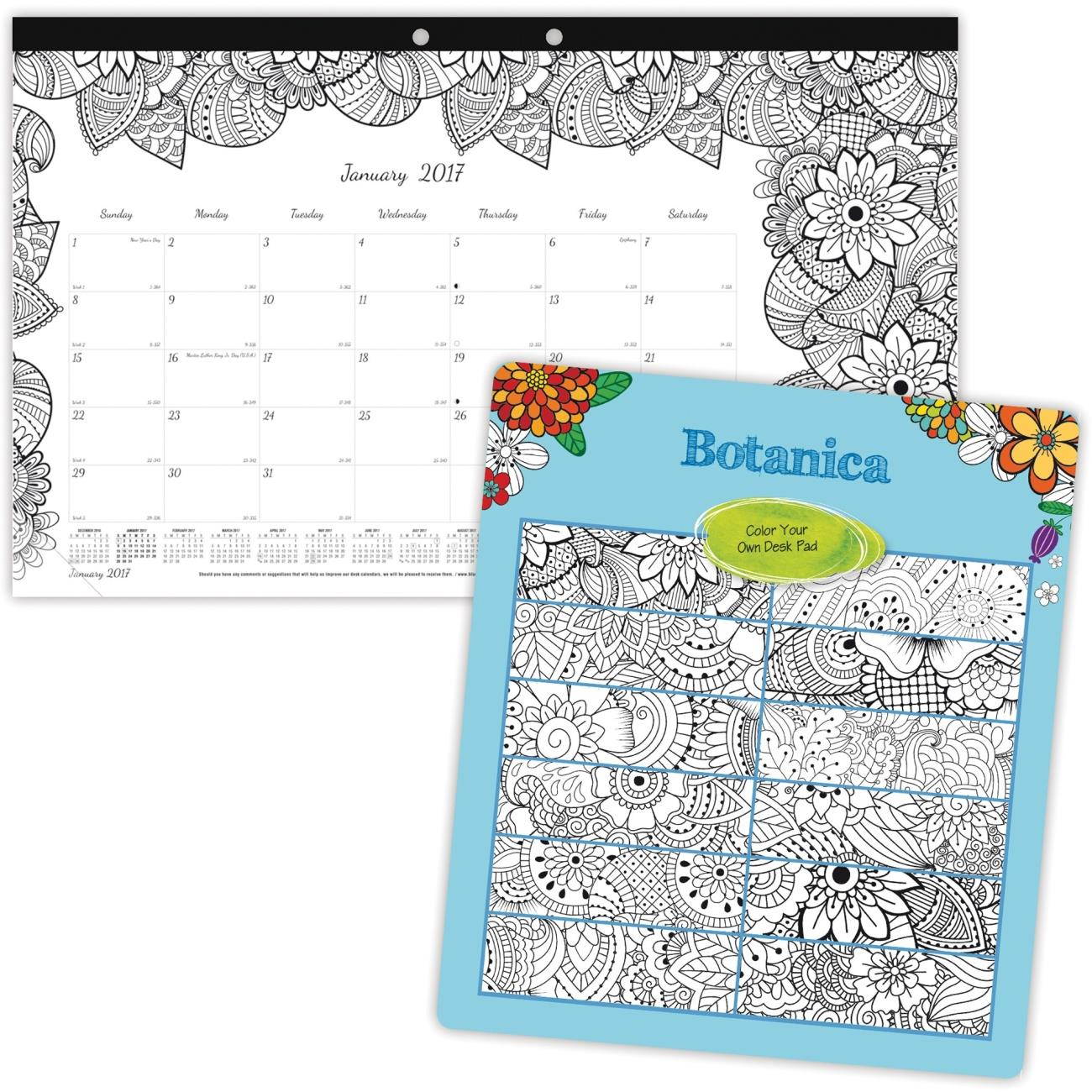 Blueline C2917001 Doodleplan Desk Calendar W/Coloring Pages, 17 3/4 X 10 7/8, 2017