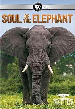 PBS NATURE-SOUL OF THE ELEPHANT (DVD) DNAT63304D