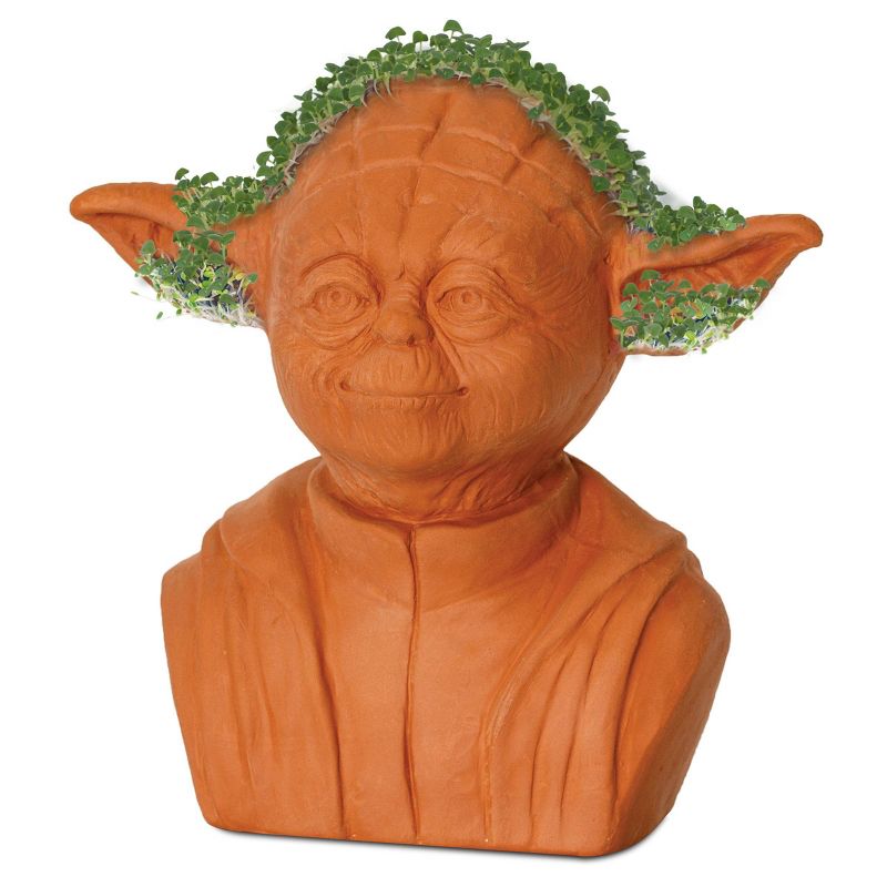Chia Star Wars - Yoda