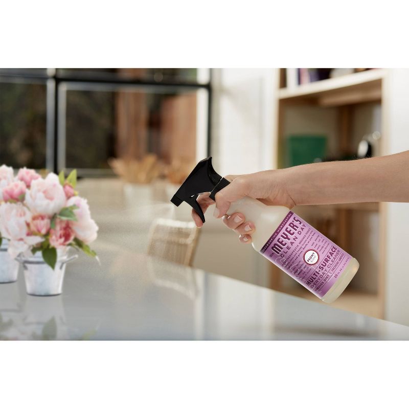 Clorox Compostable Wipes - Free & Clear - 75ct