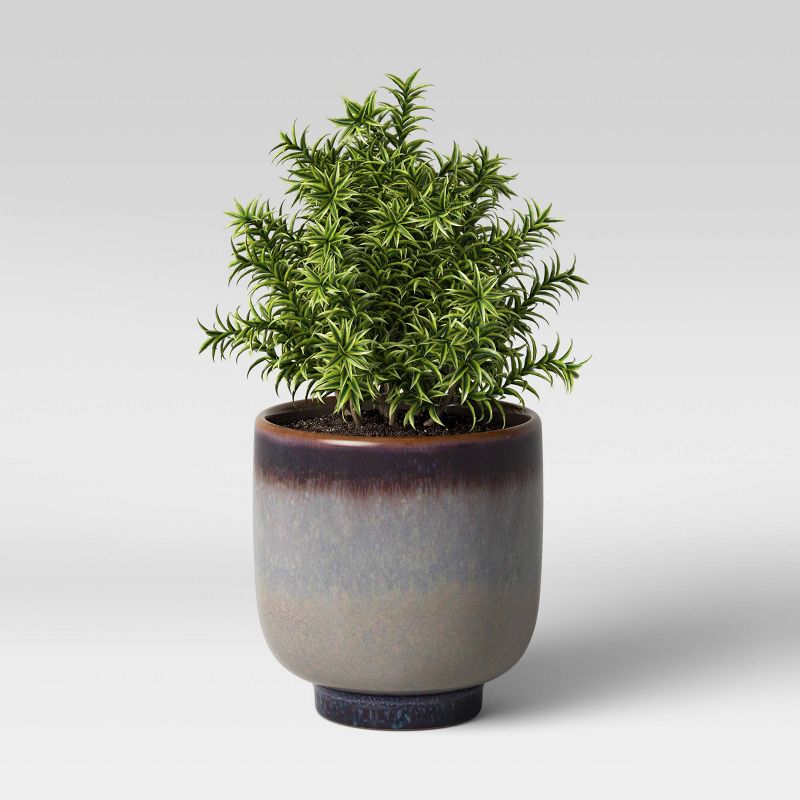 The HC Companies 3 Inch Round Plastic Sprite Decorative Indoor Flower Succulent Planter Pot with Drain Plug Hole, Artisan Taupe