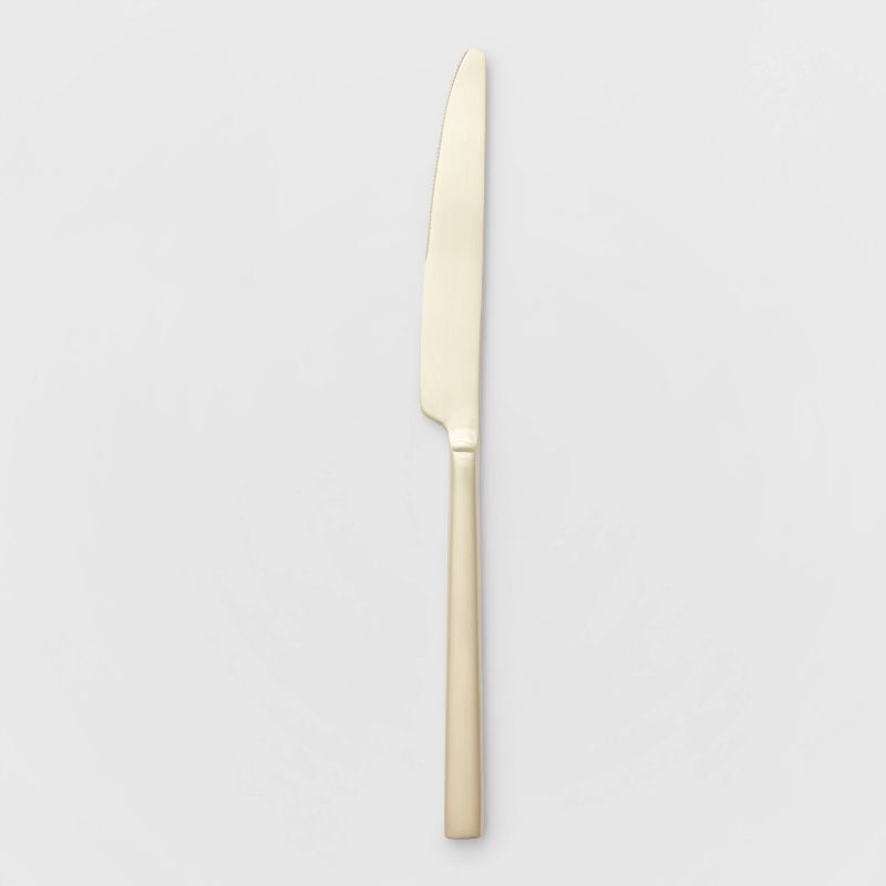 Stainless Steel Dux Champagne Dinner Knife - Project 62™