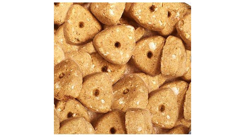 Nutro Crunchy Peanut Butter Dog Treats - 10oz