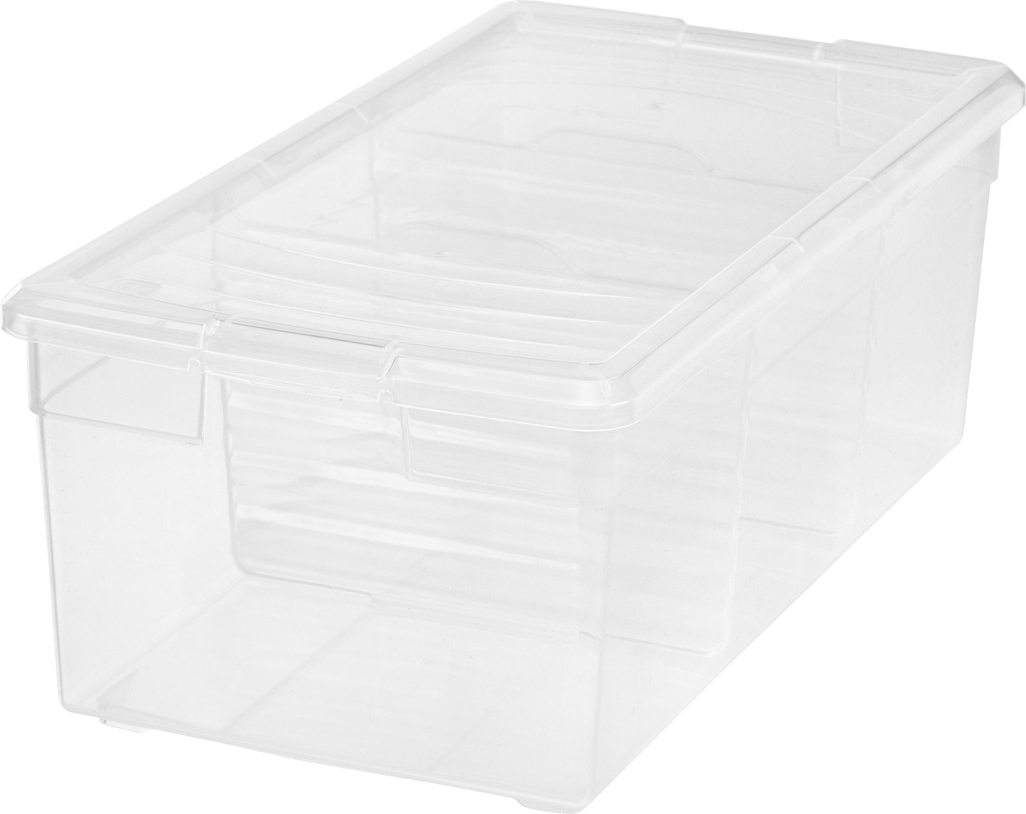 IRIS Divided Storage Box, 1 Pack, Clear