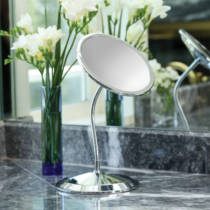 Zadro Double Vision Gooseneck Vanity/Wall-Mount Mirror 10X/5X