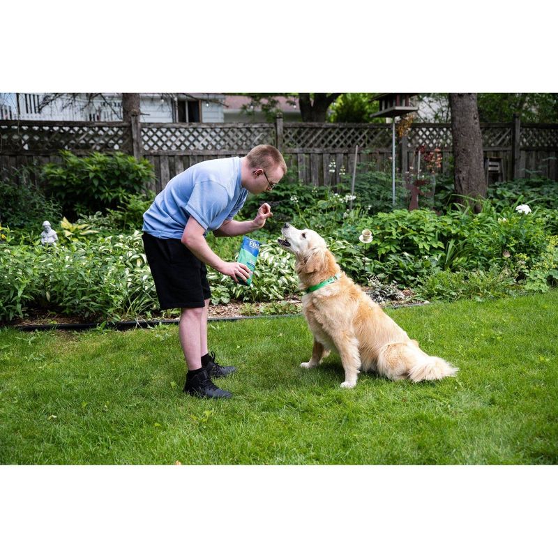 Finley's All Natural Duck Soft Training Bite Dog Treats - 16oz