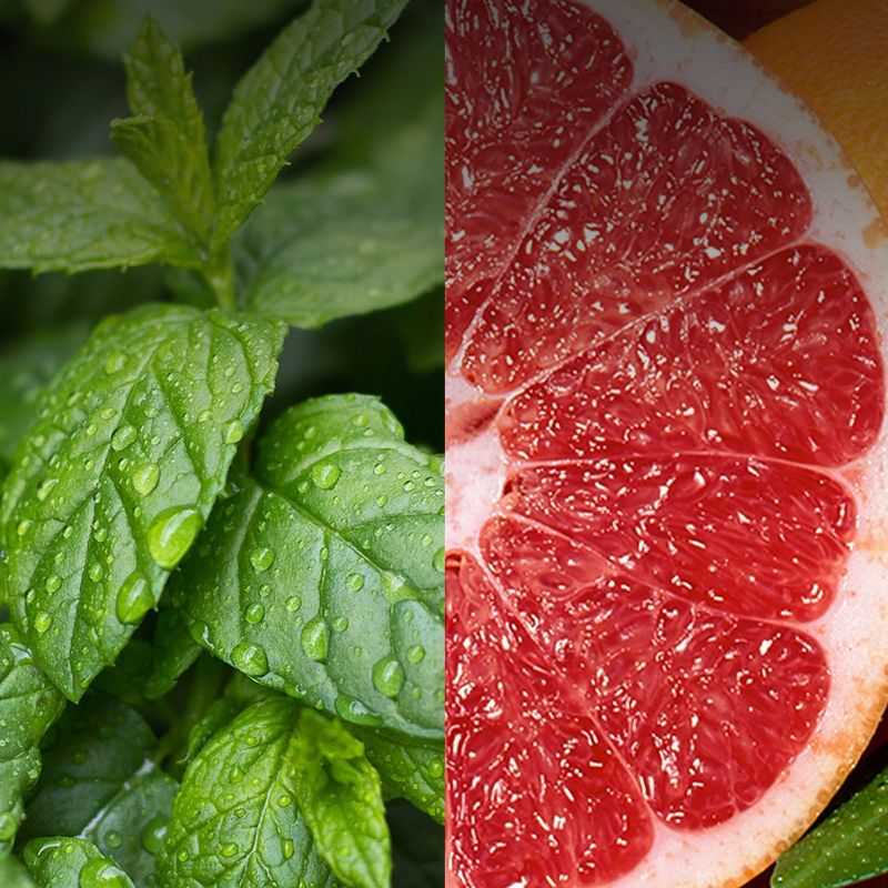 Botanica Room Spray - Pink Grapefruit & Moroccan Mint