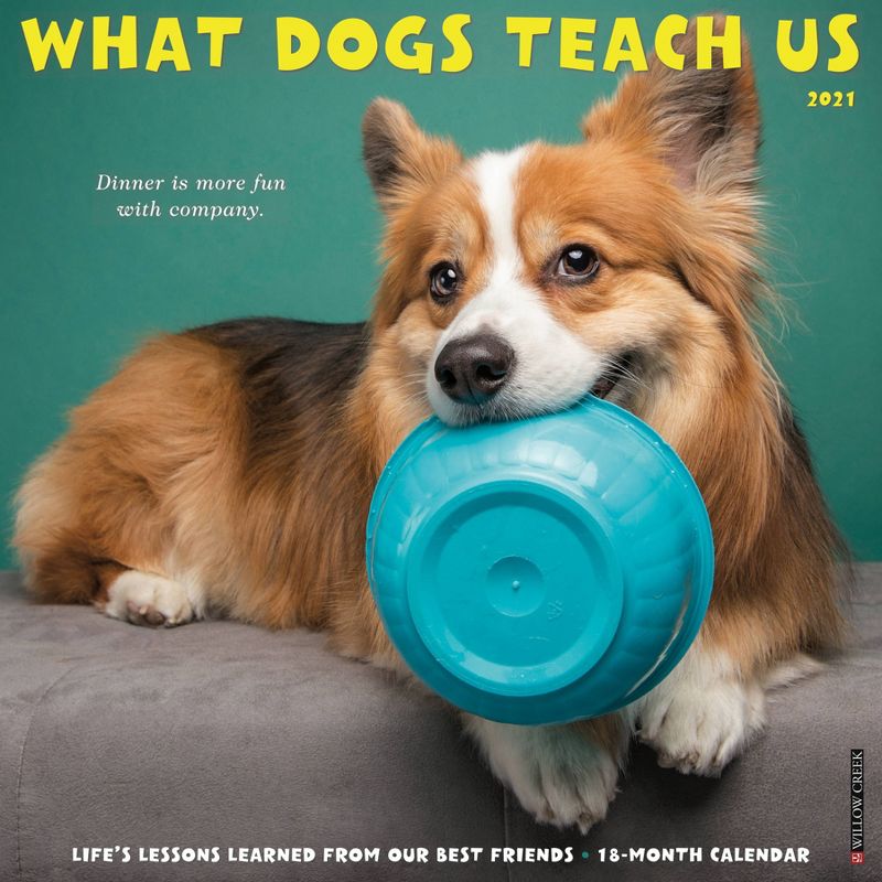 2021 Monthly Wall Calendar What Dogs Teach Us - Willow Creek Press