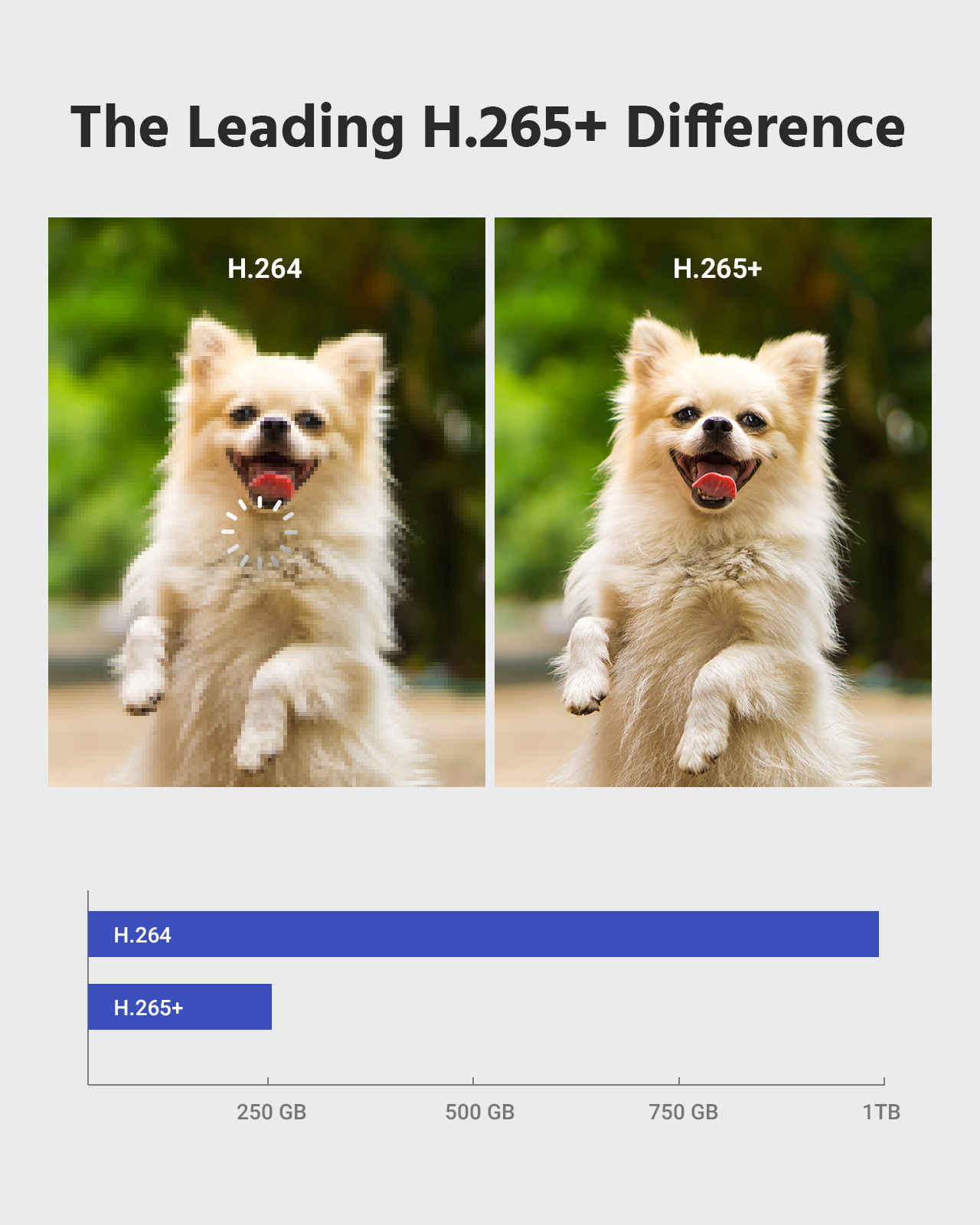 ANNKE 8-Channel 1080P Security Camera System