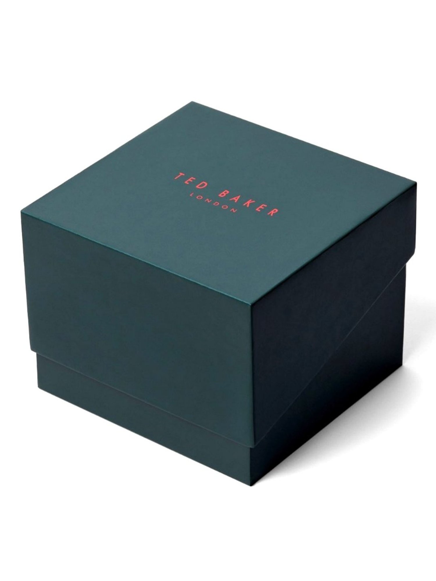 TED BAKER BKPPGS3019I Timeless Multifunction Watch for Men