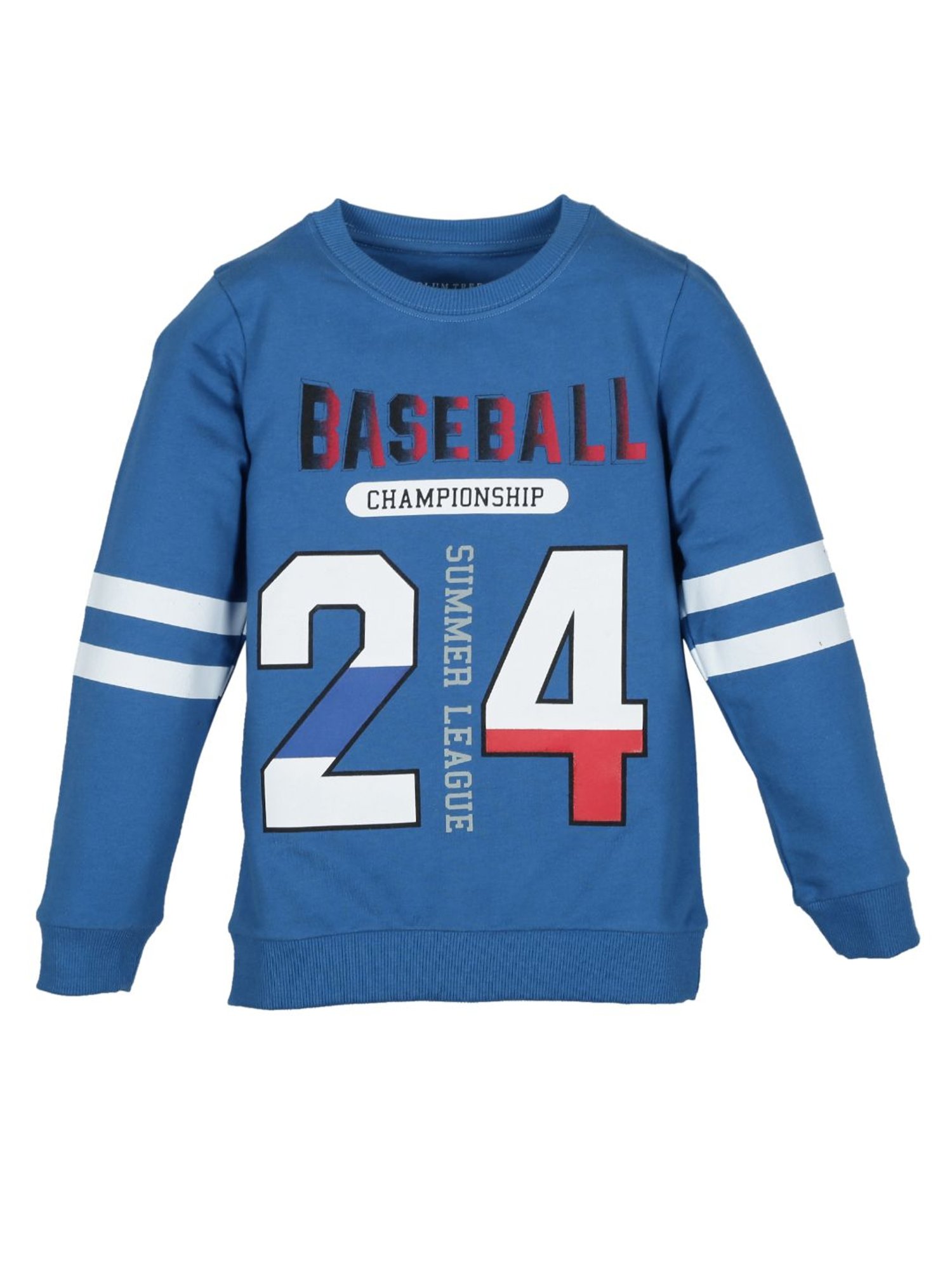 Plum Tree Kids Blue Printed  Sweatshirt