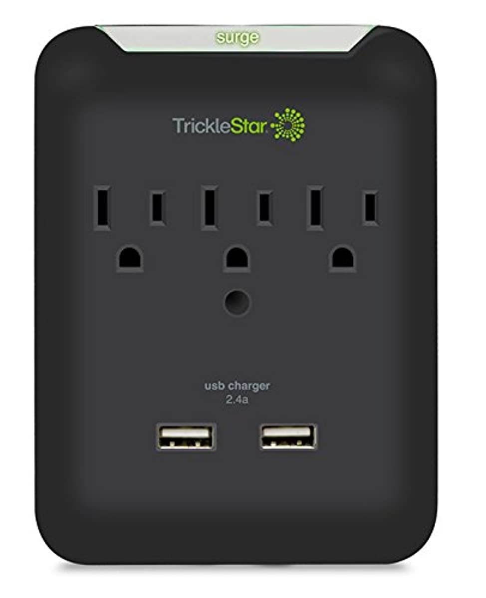 TS1207-3 Outlet Power Tap w/USB Charging Ports