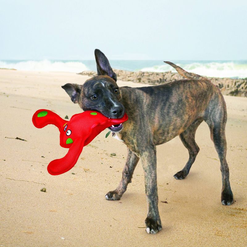 KONG Belly Flops Lobster Dog Toy - L