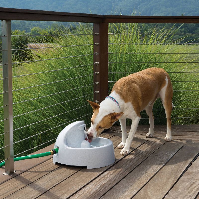 Pet Genius Smart Pet Fountain Filter - White