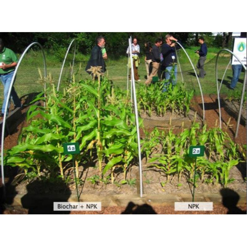 Northlight 28" Pre-Lit Burlap Squirrel with Santa Hat Christmas Outdoor Decoration