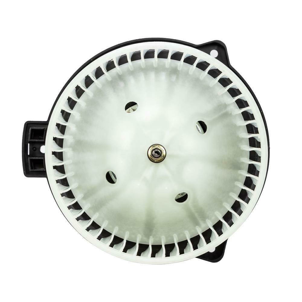 Jaybird Vista True Wireless Bluetooth Sport Waterproof Earbud Premium Headphones - Black (985-000865)