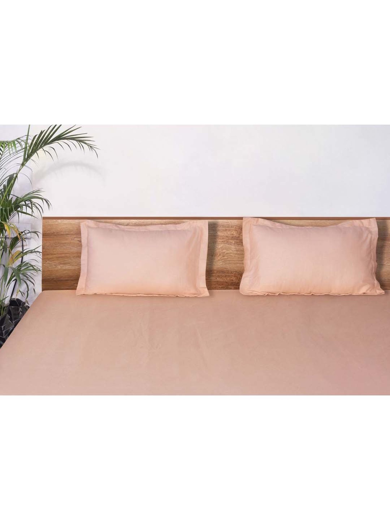 Mark Home Classic Peach Cotton 210 TC King Bedsheet with 2 Pillow Covers