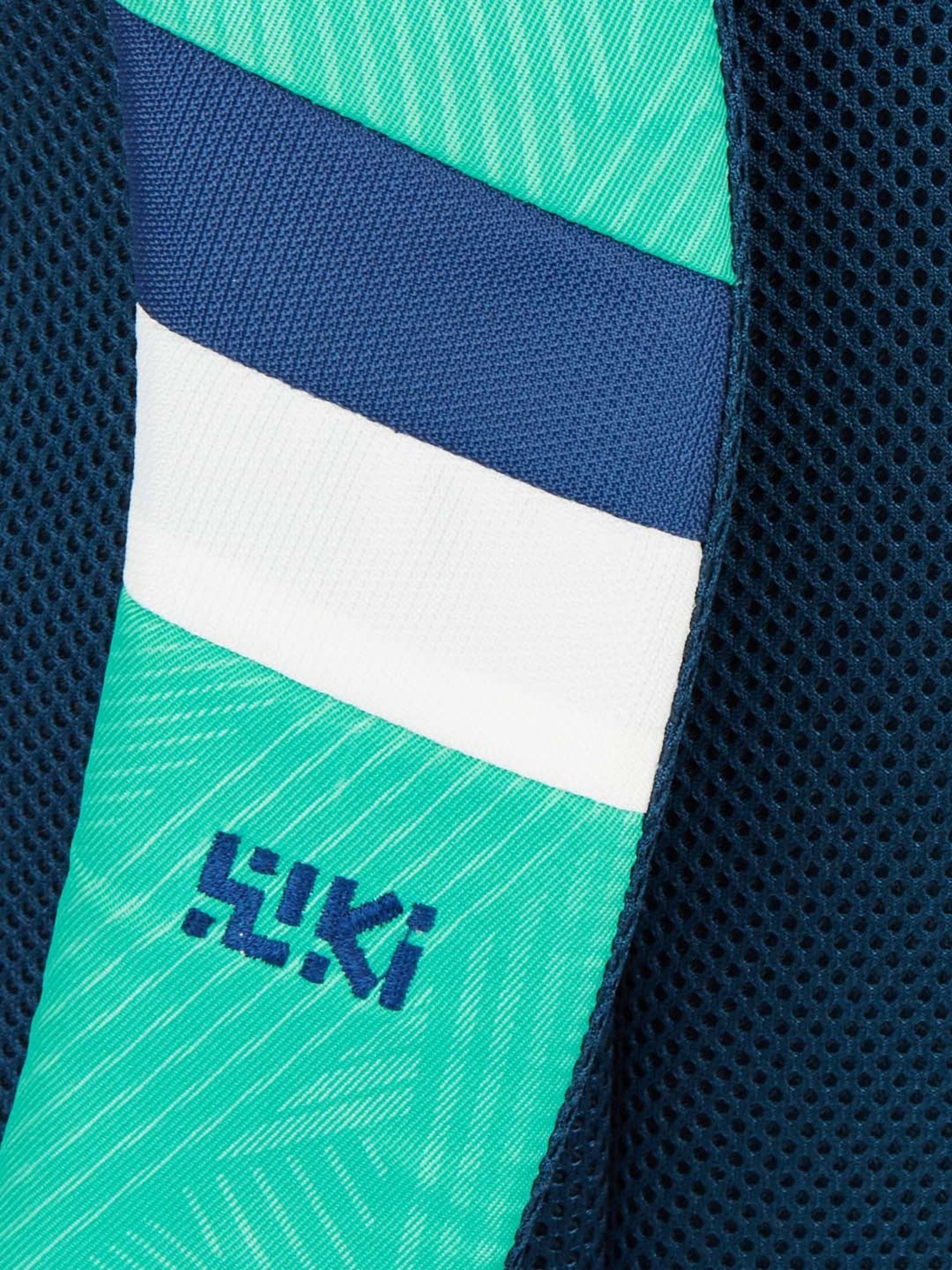 Wiki 40 Ltrs Blue Medium Backpack