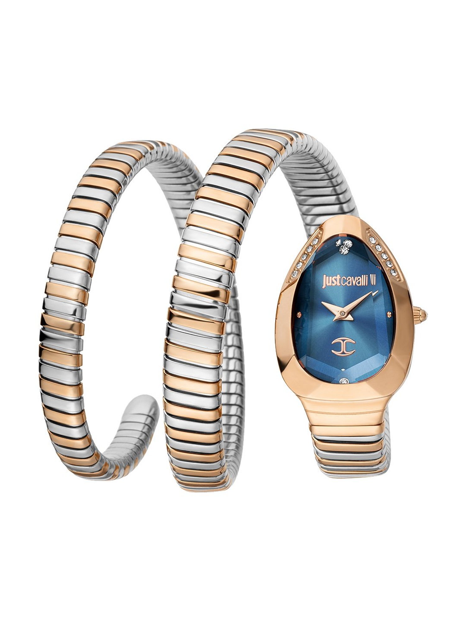 JUST CAVALLI JC1L209M0085 Analog Watch for Women