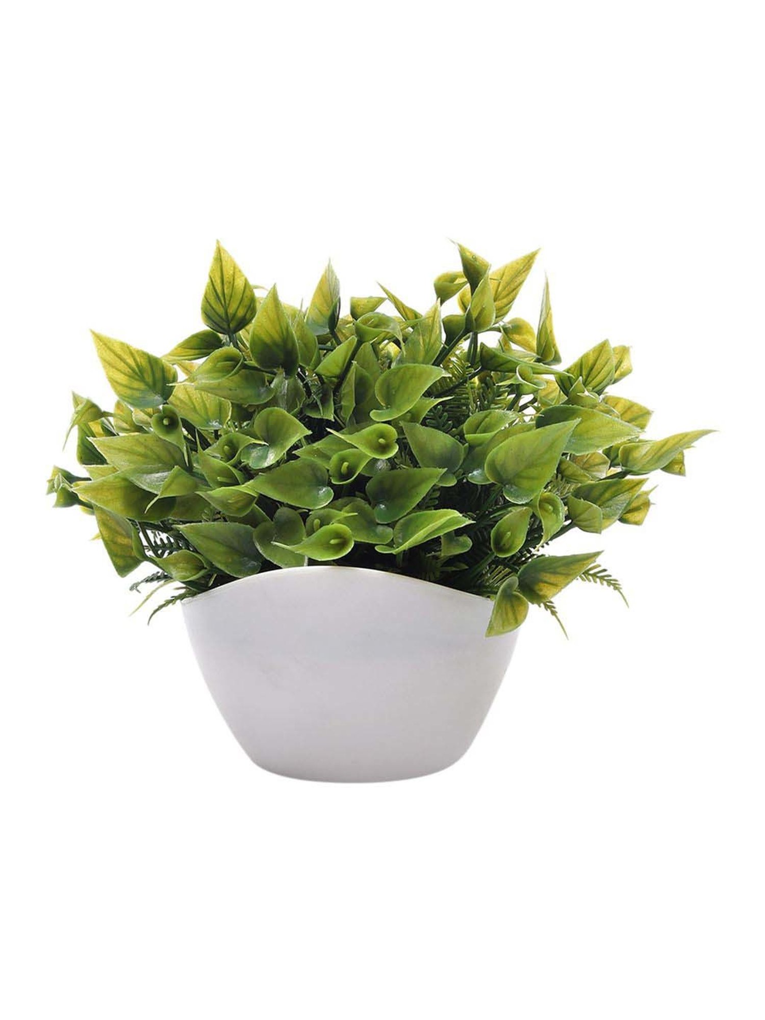 Foliyaj Green & White Plastic Artificial Plant With Leaves And Flowers