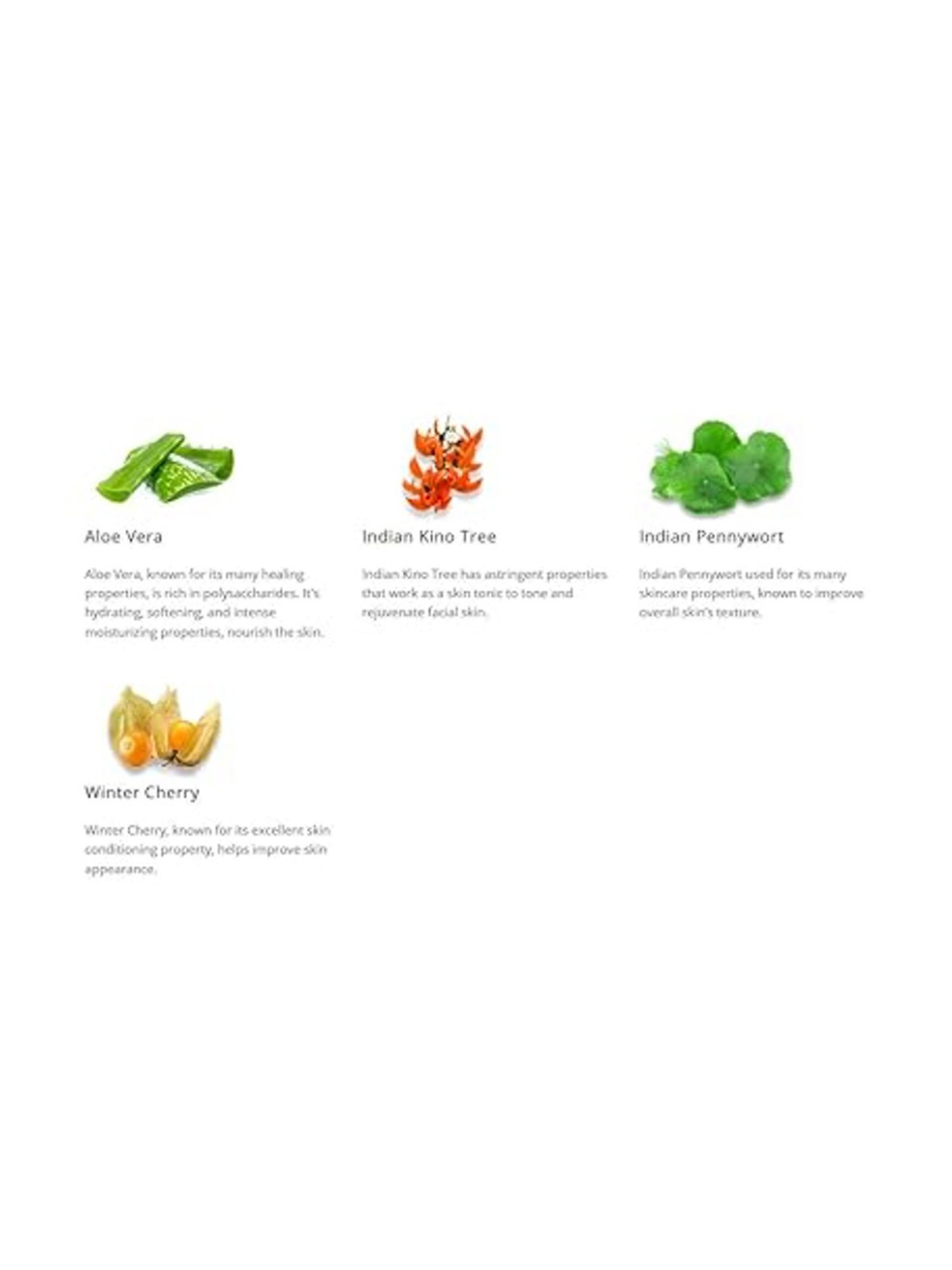 Himalaya Nourishing Skin Cream - 200 ml