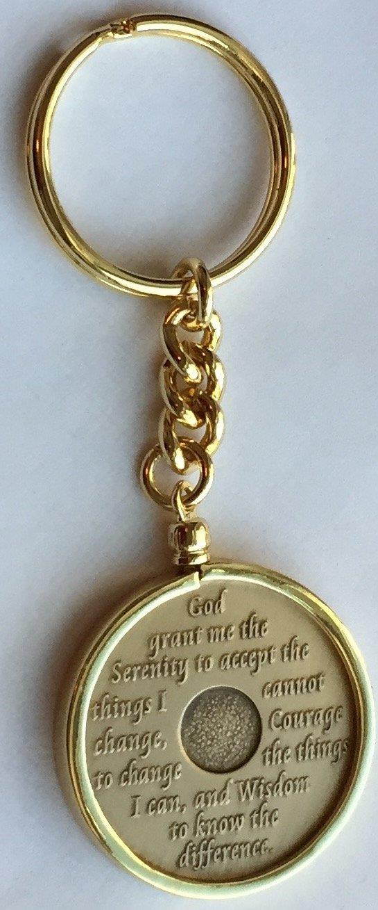Wendells 1 Month 30 Day AA Sobriety Chip In Removable Gold Plated Keychain Holder