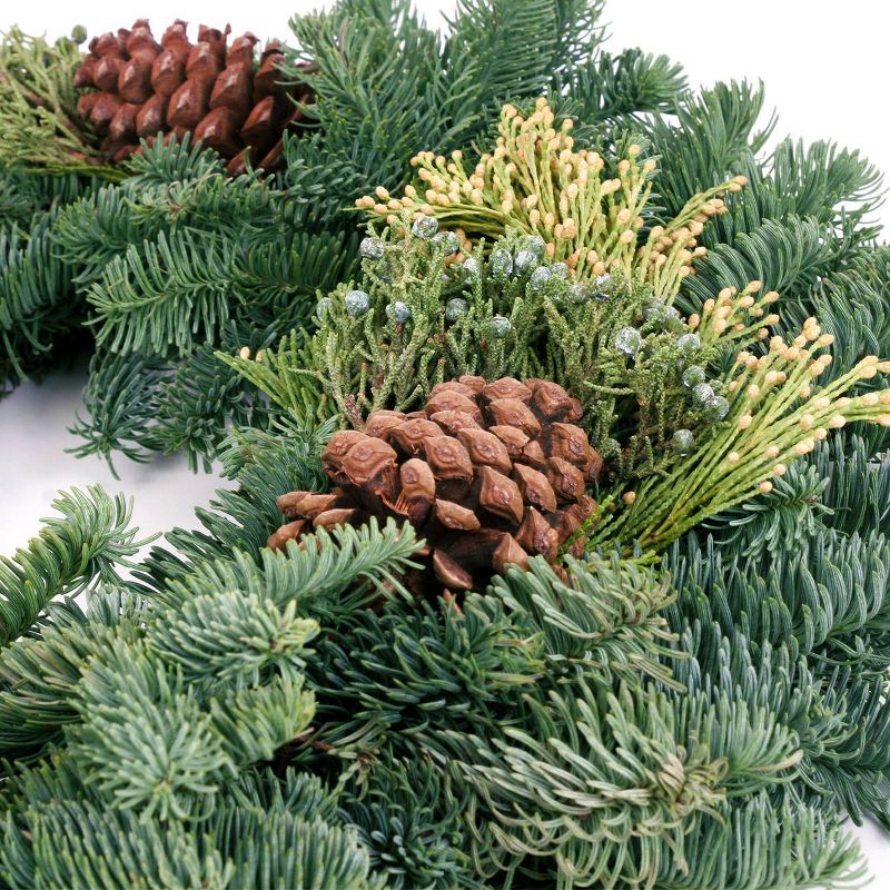 Live Fresh Cut Pacific Northwest Mixed Wreath 20" Pine Cone Decorated - Van Zyverden
