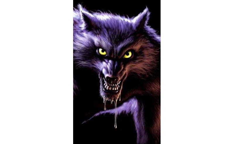WOWindow Werewolf Full Size Halloween Window Sticker
