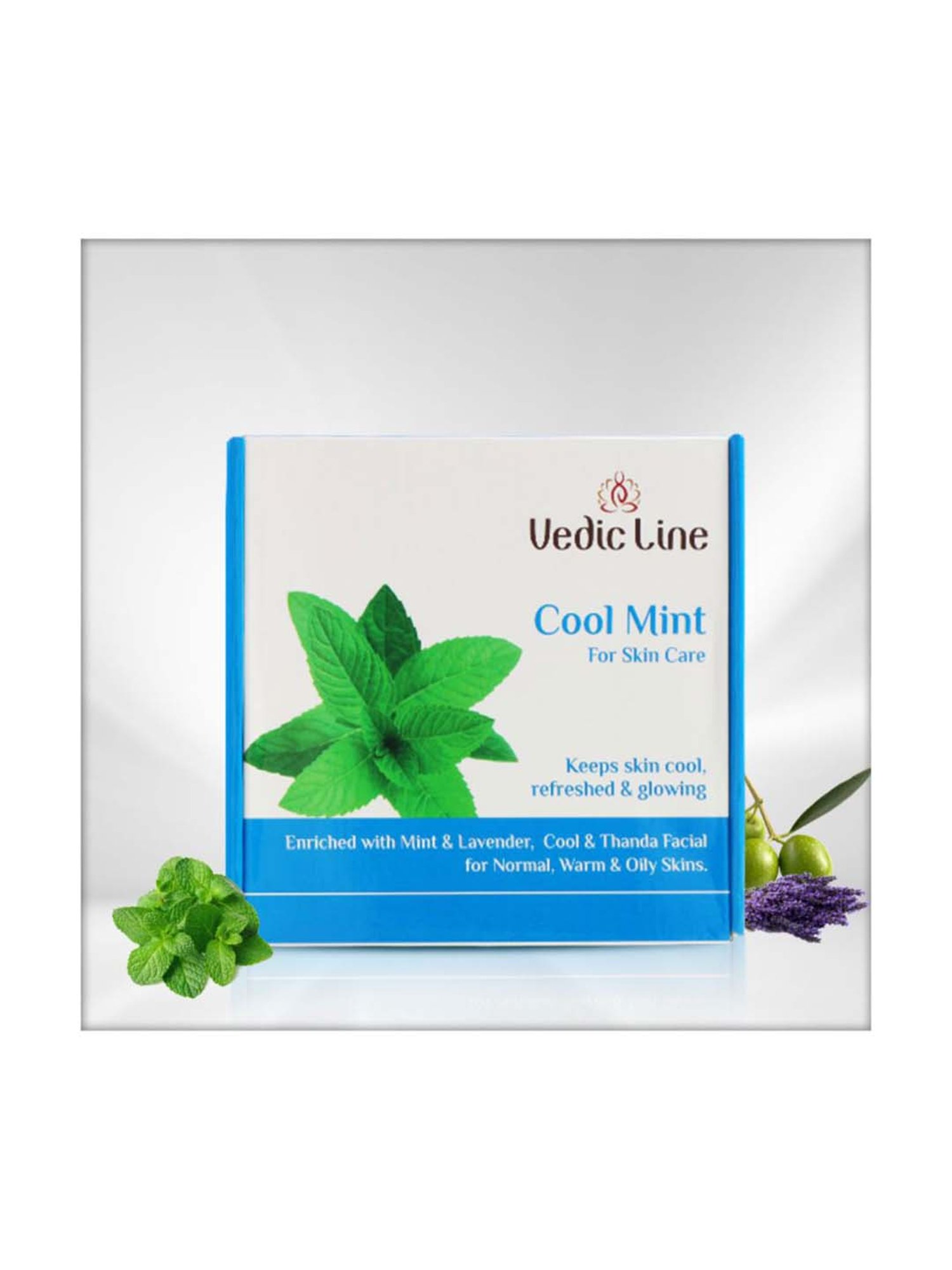 VEDIC LINE Cool Mint Facial Kit