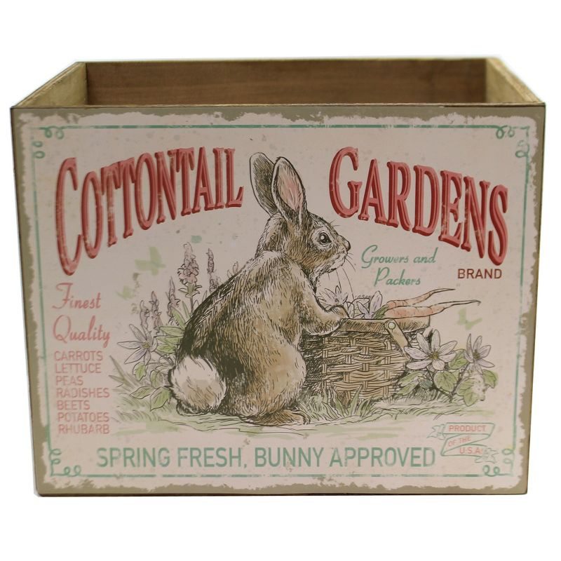 Home & Garden 8.75" Cottontails Garden Box Lg Bunny Rabbit Easter Burton & Burton  -  Planters