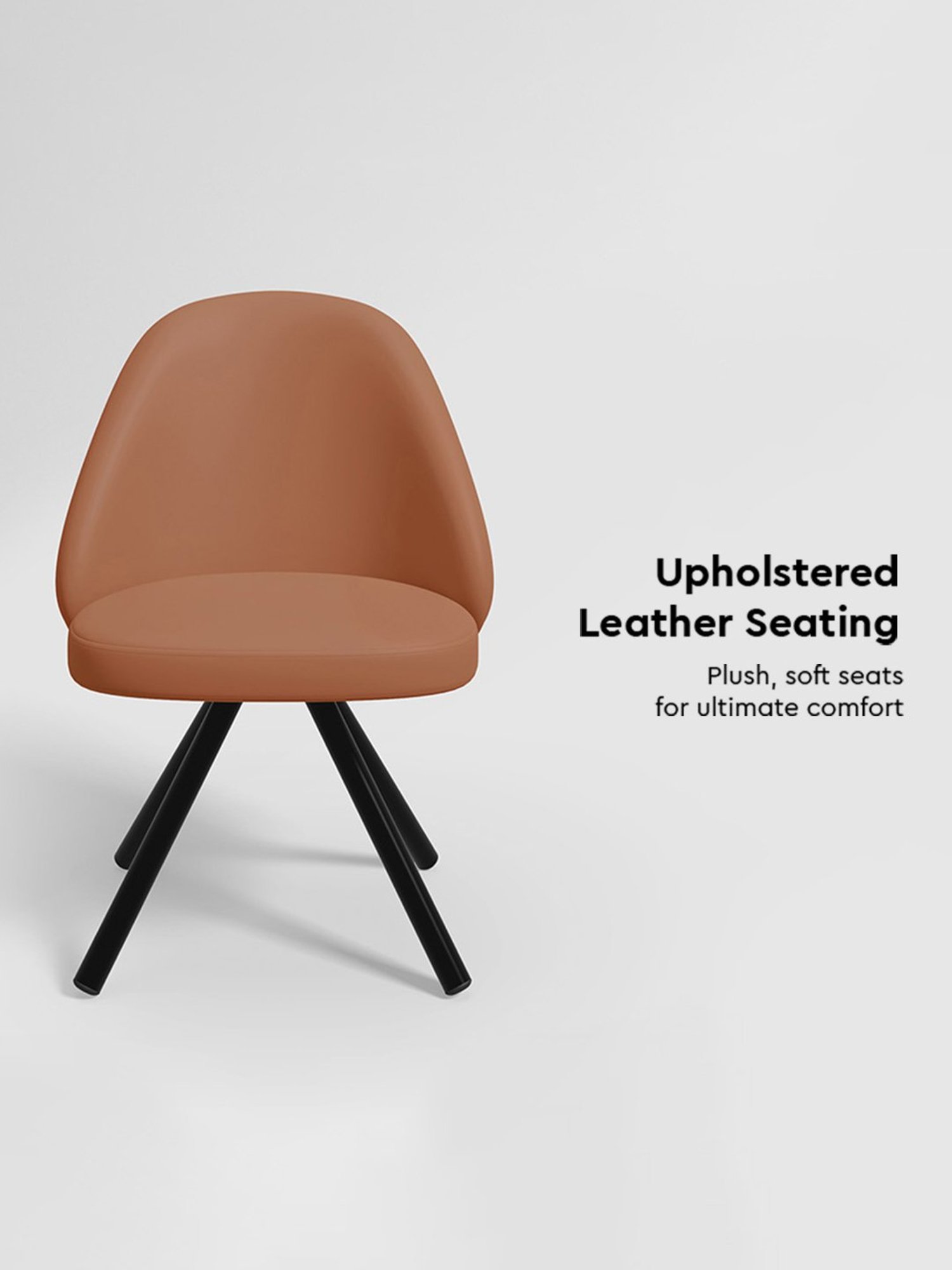 Godrej Interio Fraise Brown Leather Dining Chair (Set of 2)