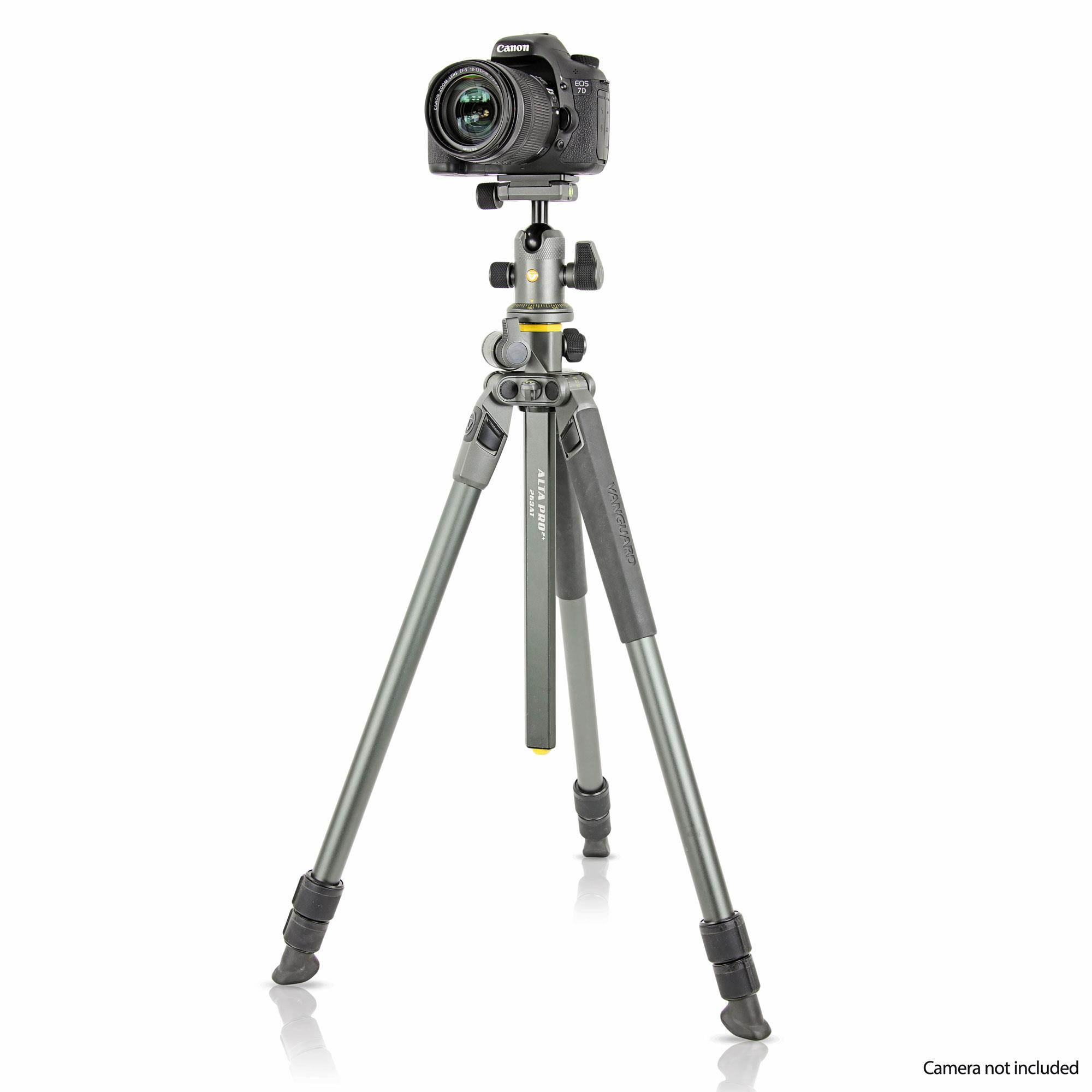Vanguard Alta Pro 2+ 263AB 100 Aluminum Tripod with Alta BH100