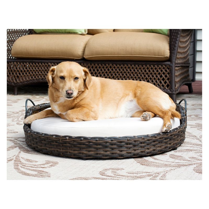 Iconic Beds for Dogs and Cats - Round Basket