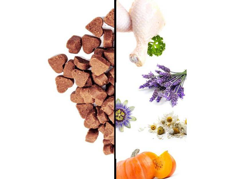 I and Love and You Meow & Zen Grain Free Chicken Recipe Cat Treats - 4oz