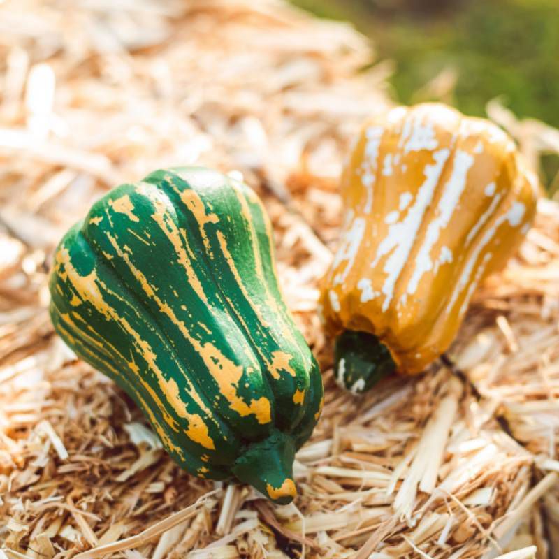 The Queen's Treasures 18 Inch Doll Farm Fresh Kitchen Food Accessory, Set of 2 Gourds Veggie Crate