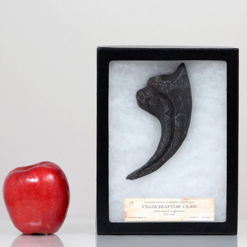 Master Replicas Velociraptor Claw Resin Fossil Replica